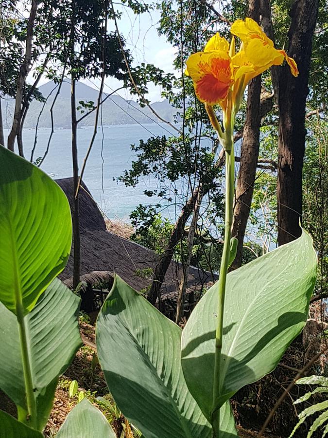 Sunny Island Resort (Adults Only) El Nido Exterior photo